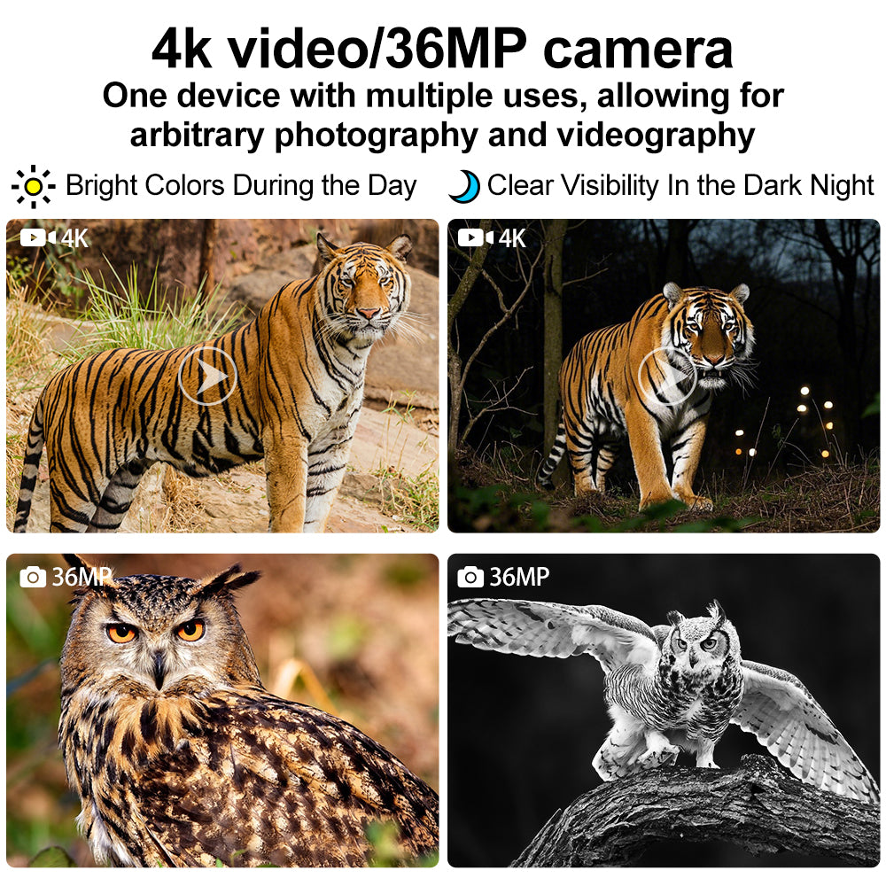 4K HD Night Vision Goggles | 36MP Digital Infrared Binoculars with 400–500m Range, 7-Level IR & Helmet Mount